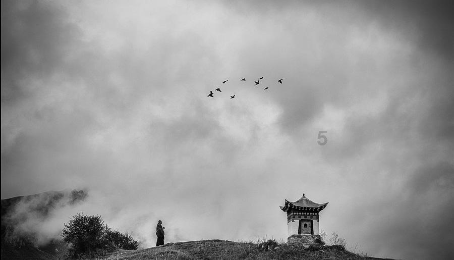 凝心聚力越难事 医路偕行图至远
