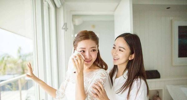 萌犬找不同
