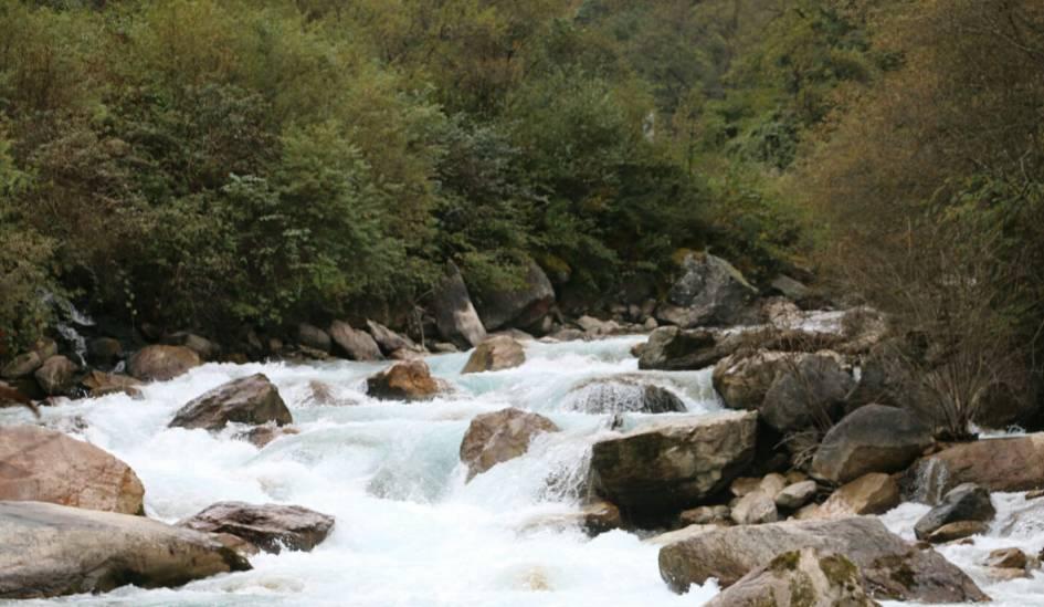 量子隧穿魔法般的氢气探测器：团簇阵列中的奇迹
