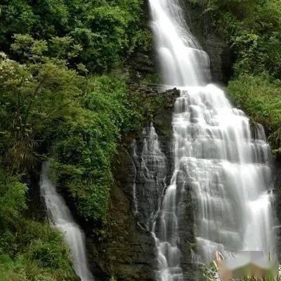 世龙实业下跌5.03%,报8.12元/股