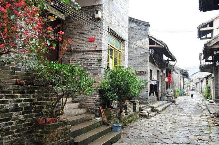 小猫钓鱼游戏龙王版有船